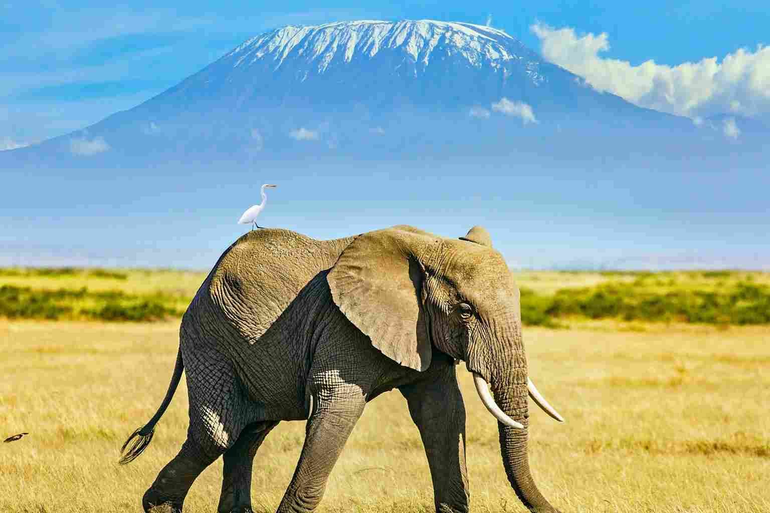 Urlaub in Zypern – Mediterrane Leichtigkeit